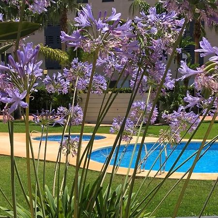 Apartment De Jardines Denia Dış mekan fotoğraf