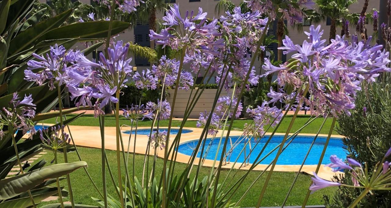 Apartment De Jardines Denia Dış mekan fotoğraf